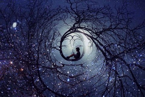 POETIC DREAMING
