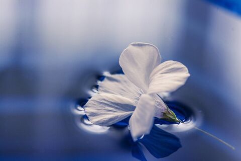 Speak Softly My Soul