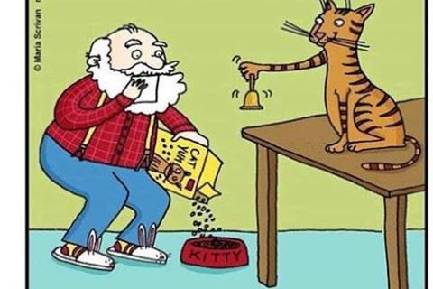 MEOW