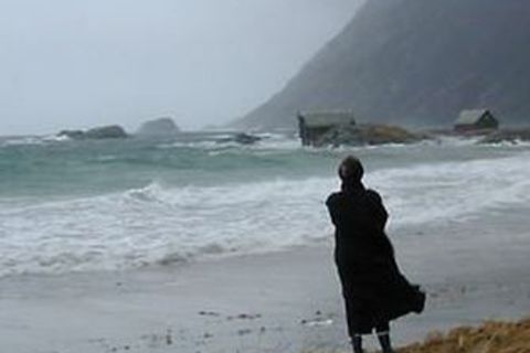 I Dream of a Coastal Wind
