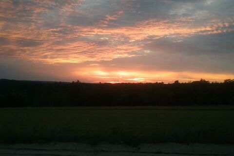 Rise and shine 