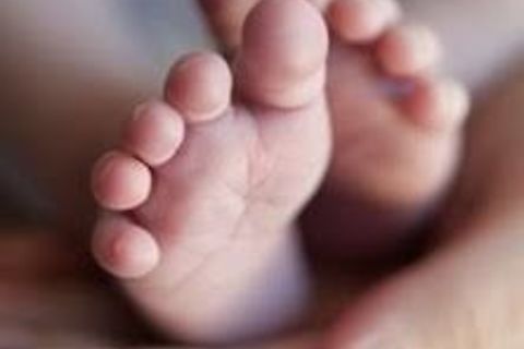 Newborn Baby
