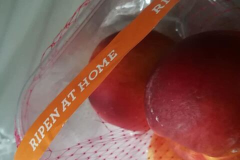 juicy fruit