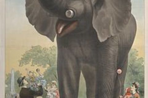 JUMBO THE ELEPHANT