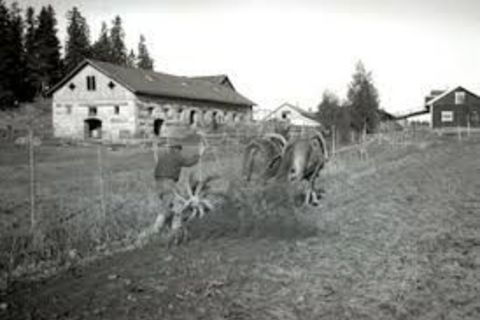 Gloriously &quot;FAKE&quot; Early Boyhood