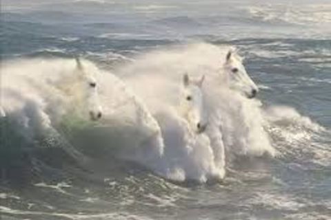 White horses