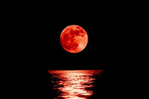 Beneath a Scarlet Moon