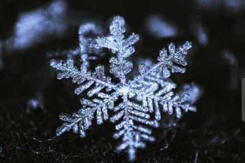 The Unique Snowflake