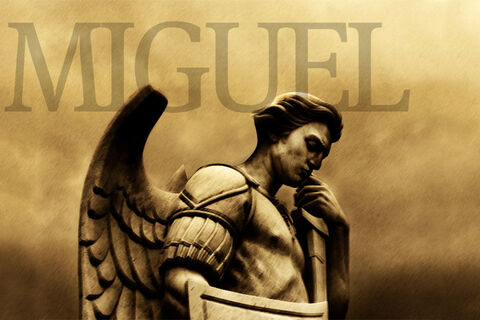  God&#039;s grace arcangel saint miguel