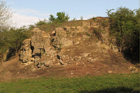The Mucky Mountains