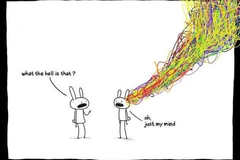 Dear Brain