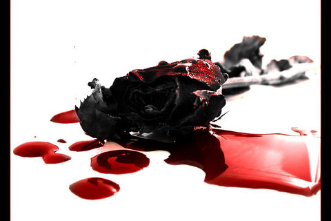 Blood 