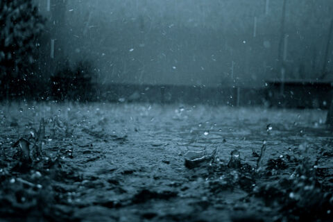 The Rain