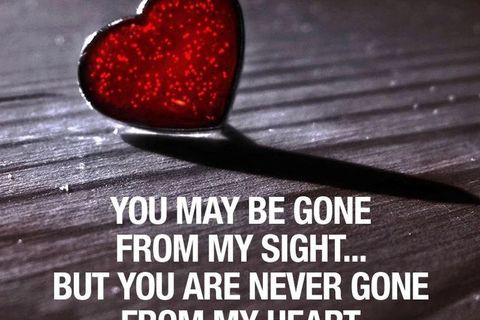 A Poem For Mollie