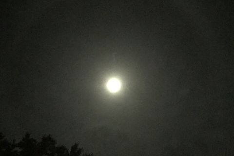 In darkness 