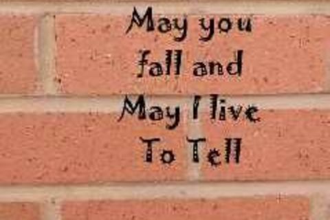 The wall