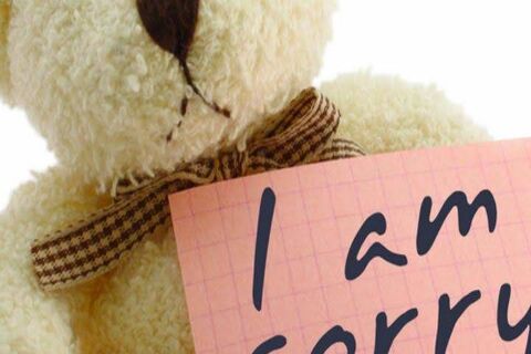 Apology