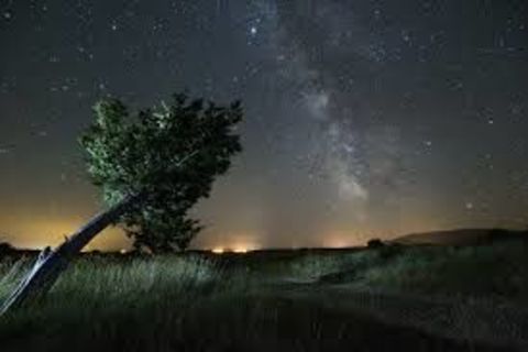 The midnight Sky
