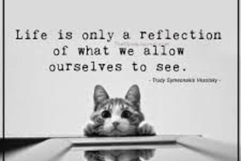 Reflection