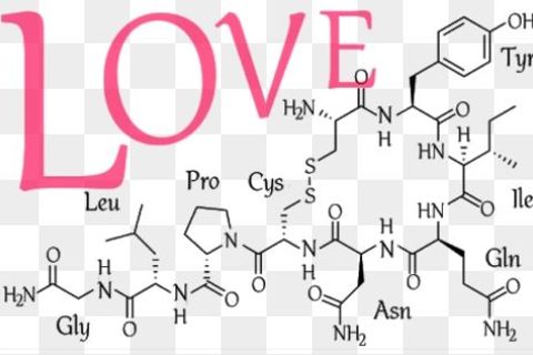 Oxytocin