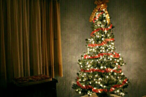 The Day Christmas Died