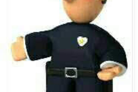  My Wife Called A Copper A Pig