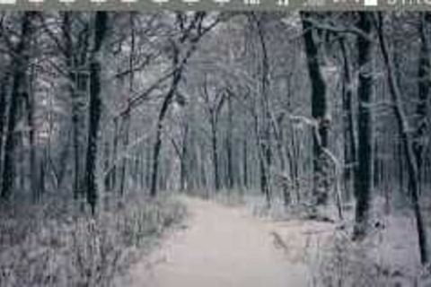 If You Go Down In The Woods