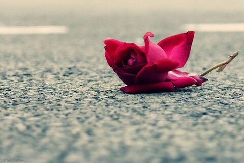 gone