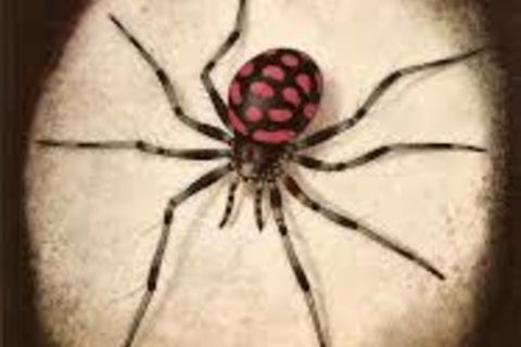 Black Widow