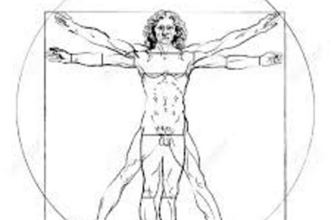 My Changed Body Morphology