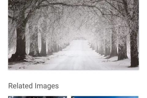 Early Morrning Drive