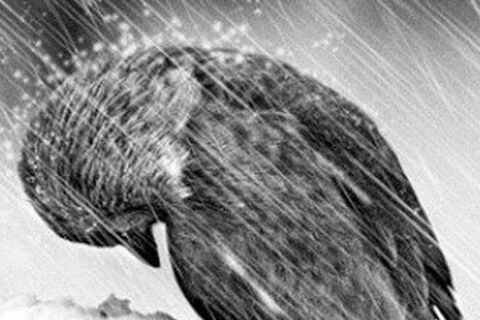 When rain knows you.