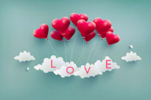 Love Is Life