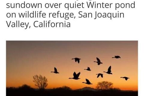 Like Wild Geese Across The Morning Sky