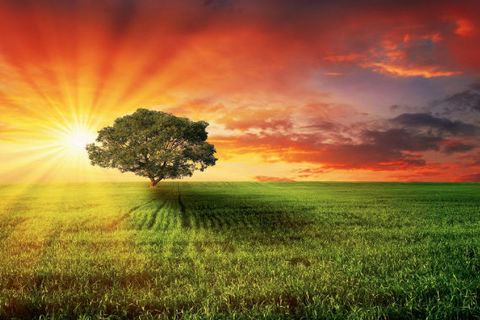 Enjoy The Good Days