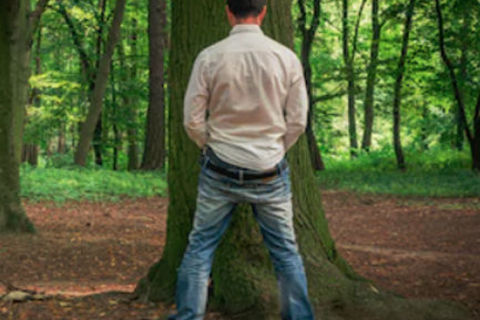 Nature Calls