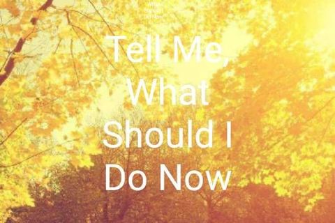 Tell Me, What Should I Do Now