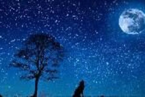 On A Moonlite Night