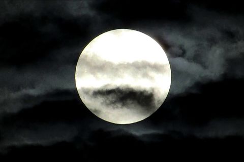 The Lords timing