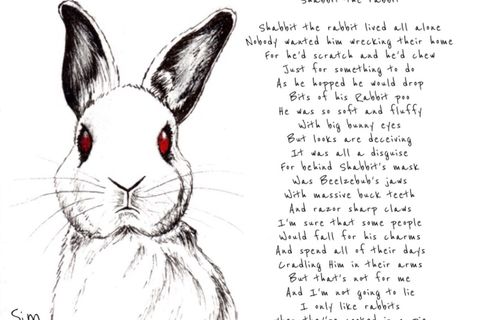 Shabbit the Rabbit