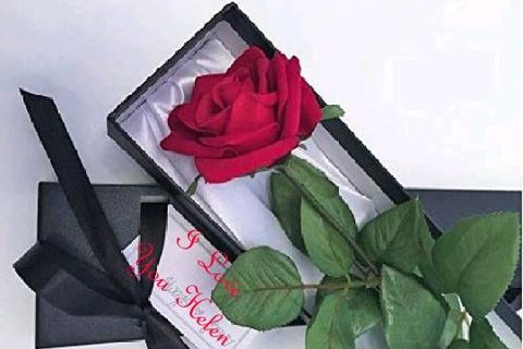 One Red Rose