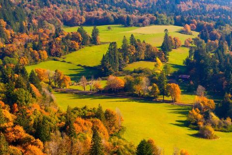 The world is full of beauties.