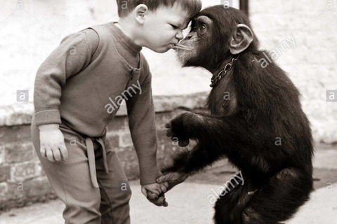 THE LITTLE BOY AND HIS CHIMP