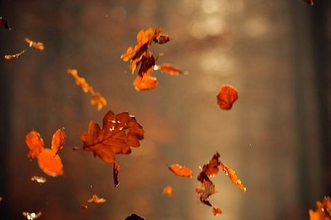 New England Autumn