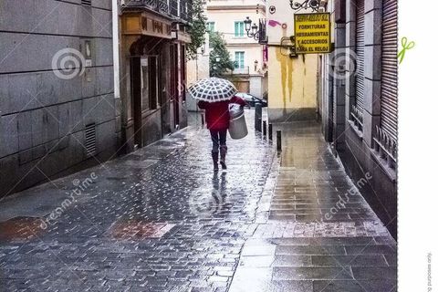 Rainy day