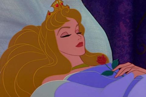 SLEEPING BEAUTY (MY VERSION)