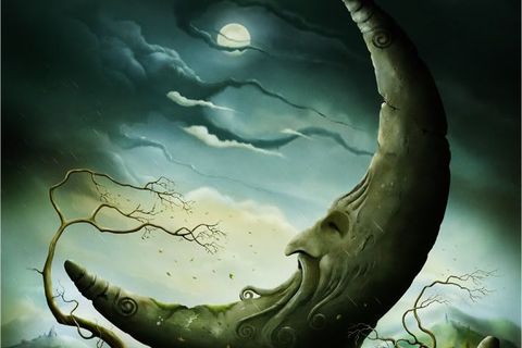 Tundralabra
