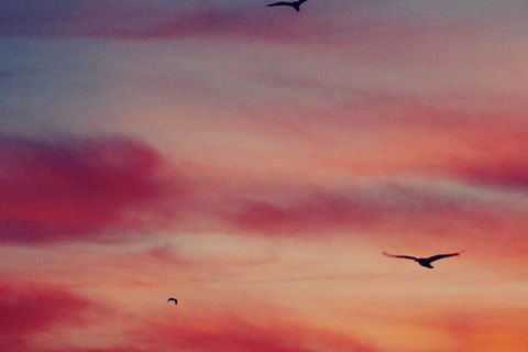 First Flight 