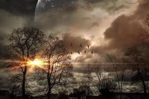 Morning Moon...