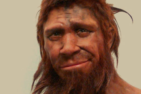 Mr. Neanderthal Man